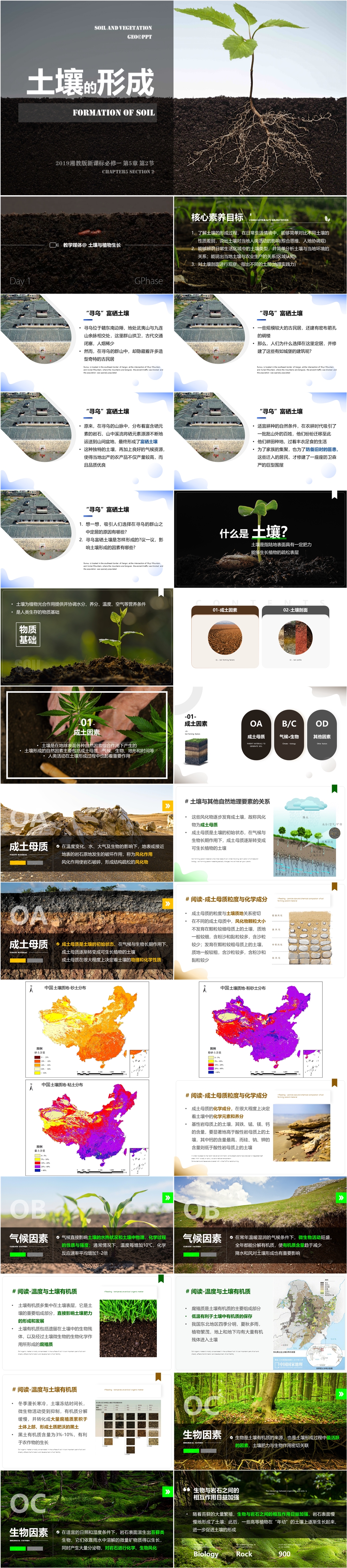 [2019版 新课标] 湘1.5.2 土壤的形成-01.jpg