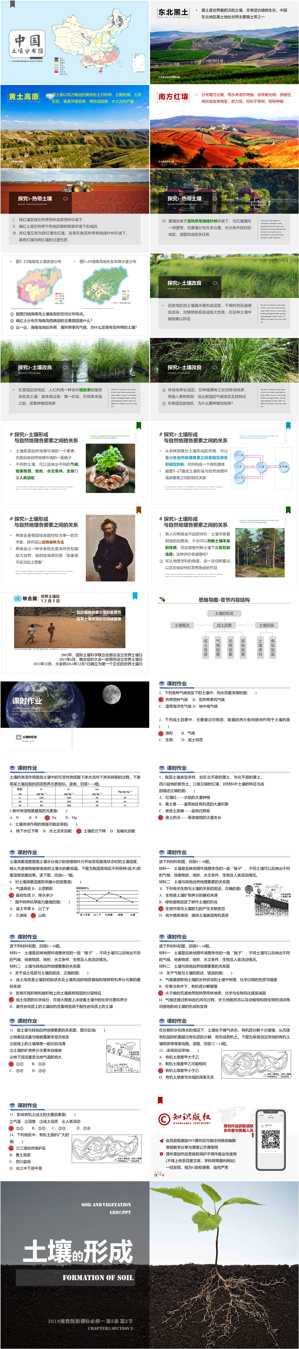 [2019版 新课标] 湘1.5.2 土壤的形成-03.jpg