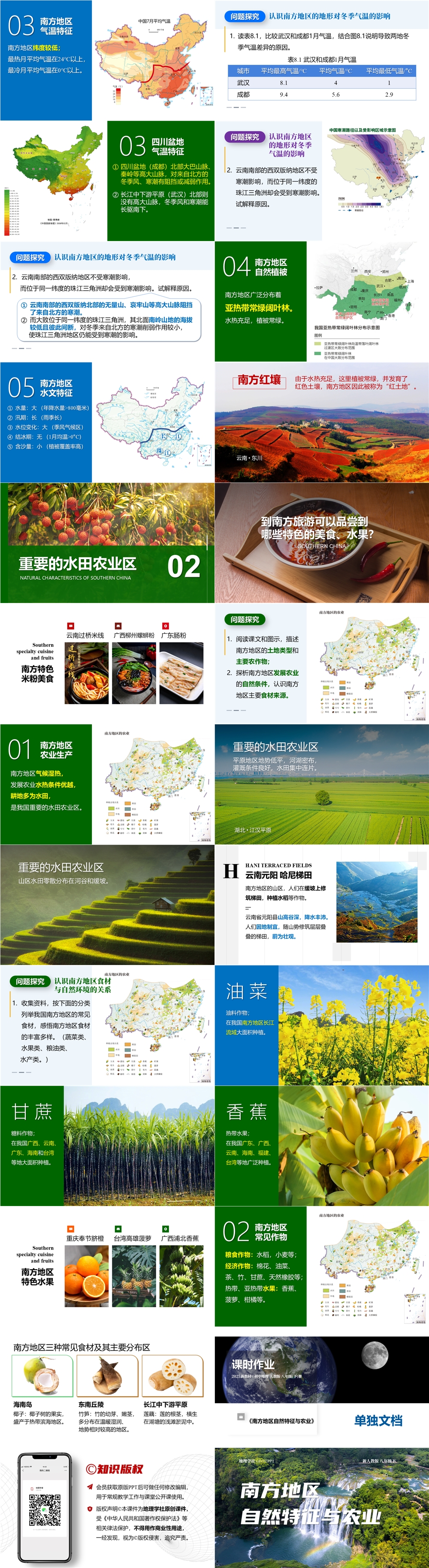 【2025 新教材】人教版 初中地理 八(下) 8.1 《南方地区自然特征与农业》-02.jpg